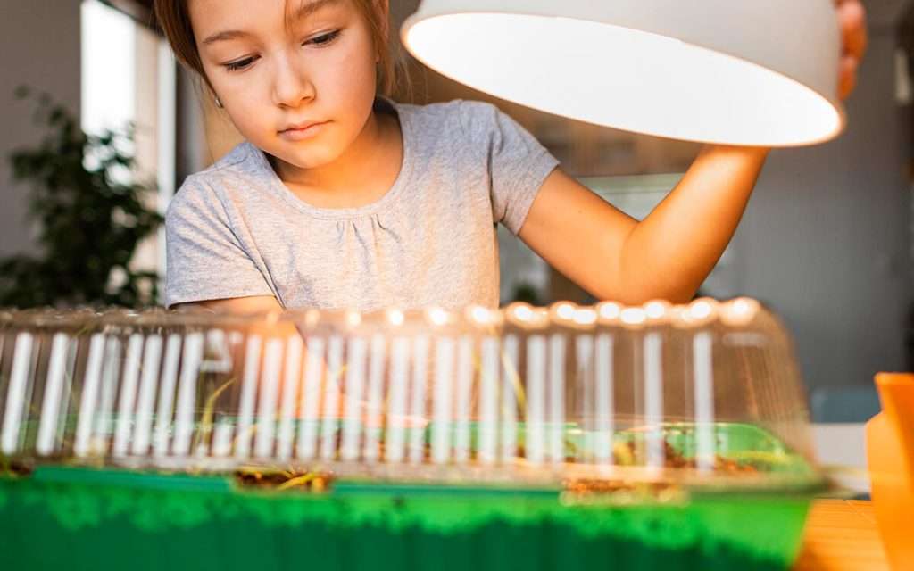 growing light experiment