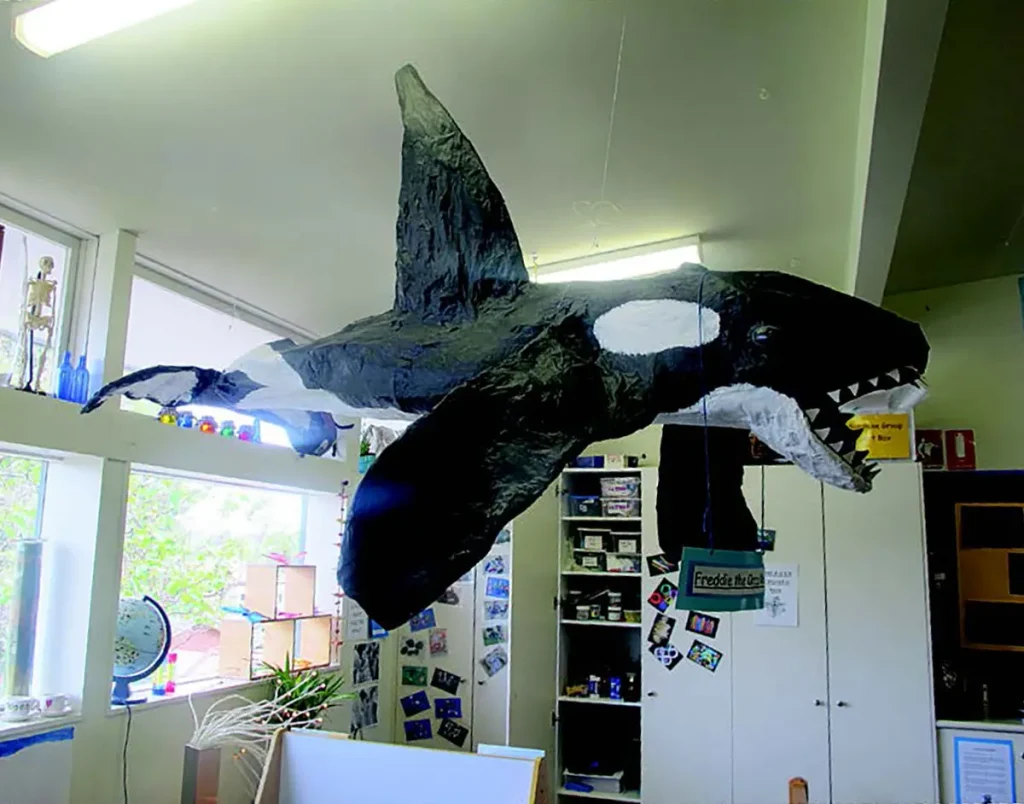 children's interest in Killer whale