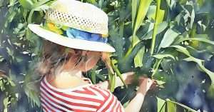 Science in early childhood education