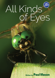 all-kinds-of-eyes_51225_l.png